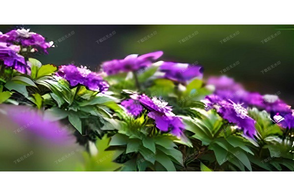 武汉茶香按摩，放松身心两不误